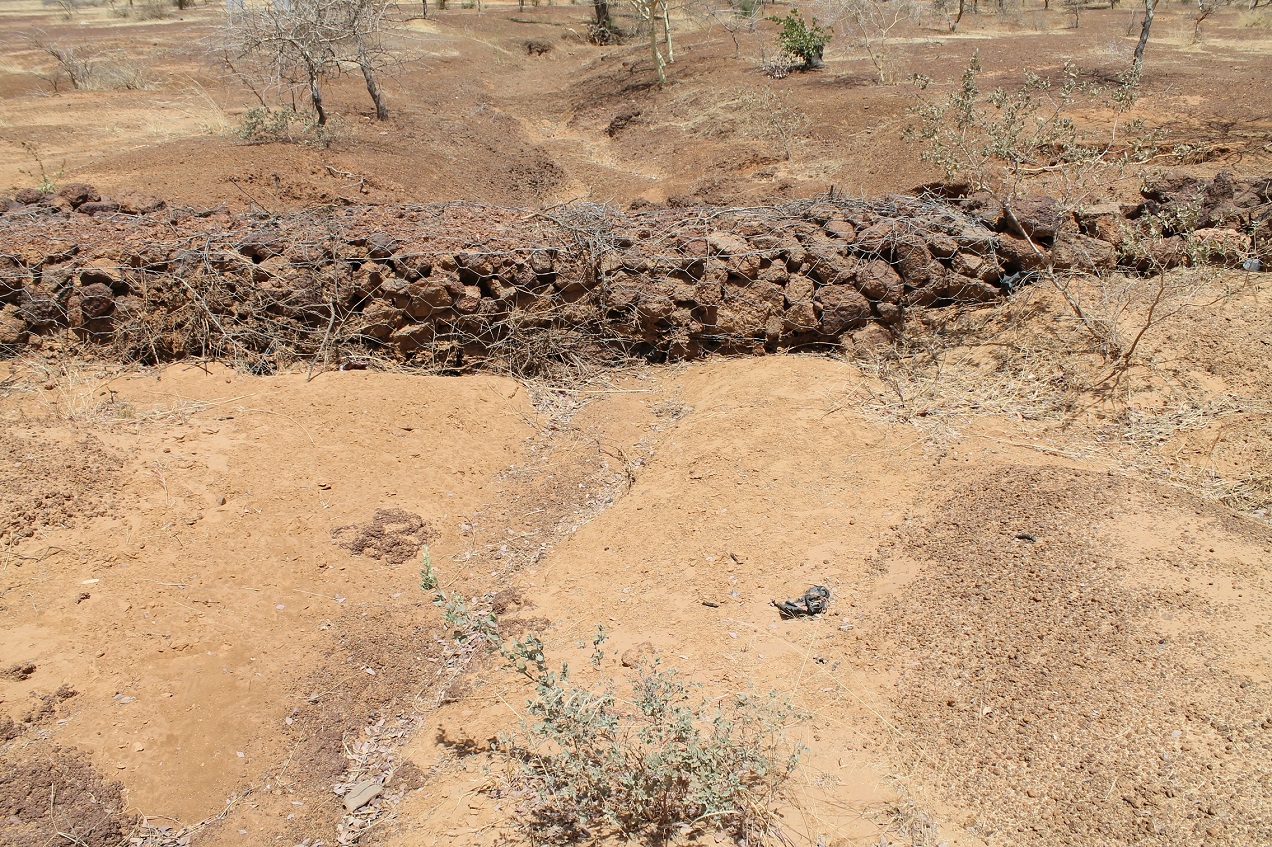 ravine_traitee_avec_gabion