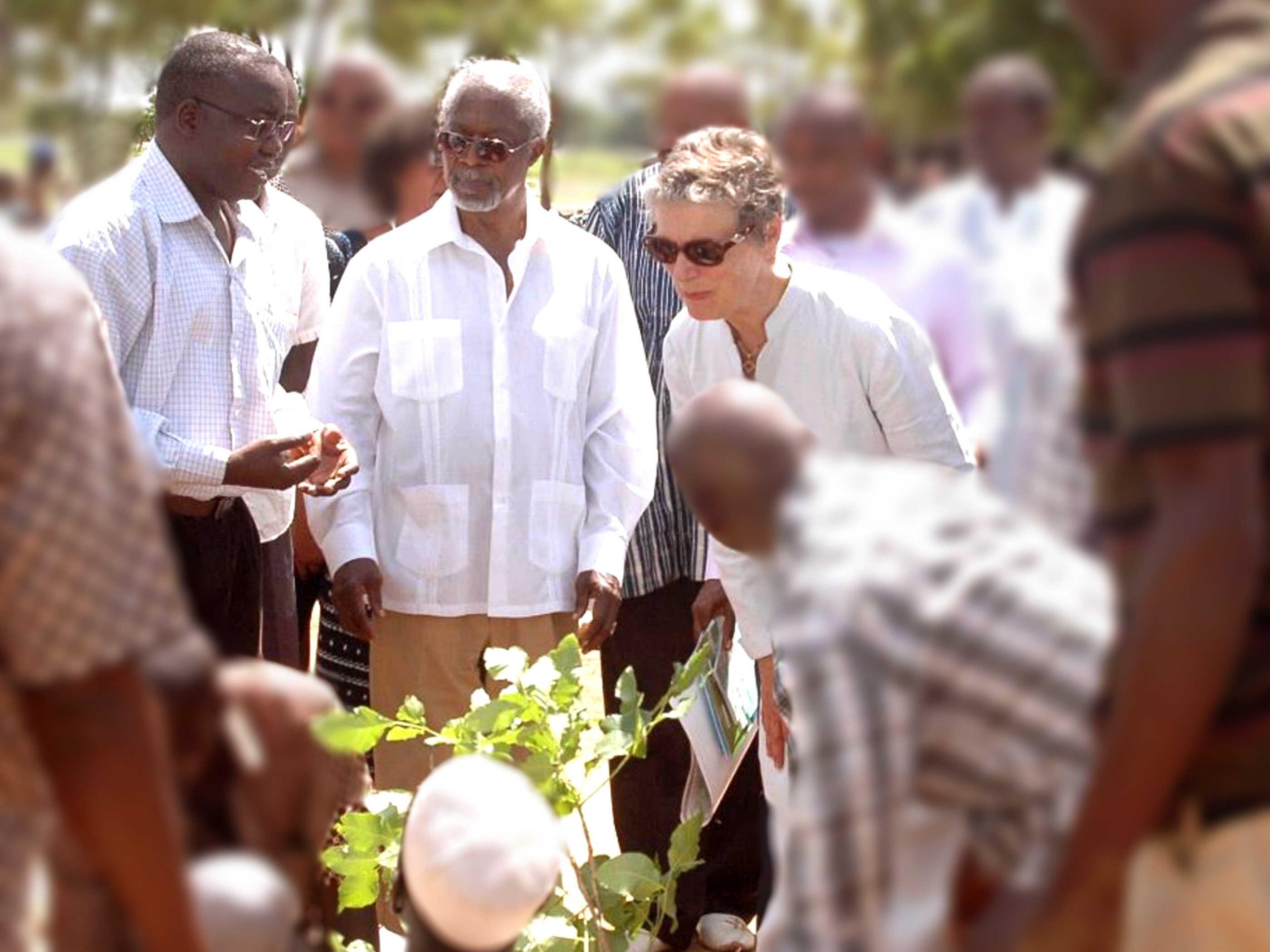 DG_avec_partners_koffi_annan